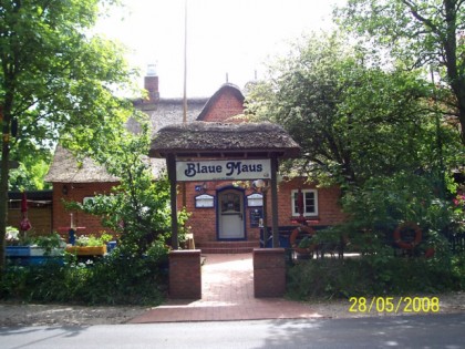 Foto: Blaue Maus